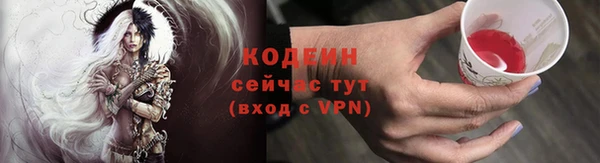 шишки Ладушкин